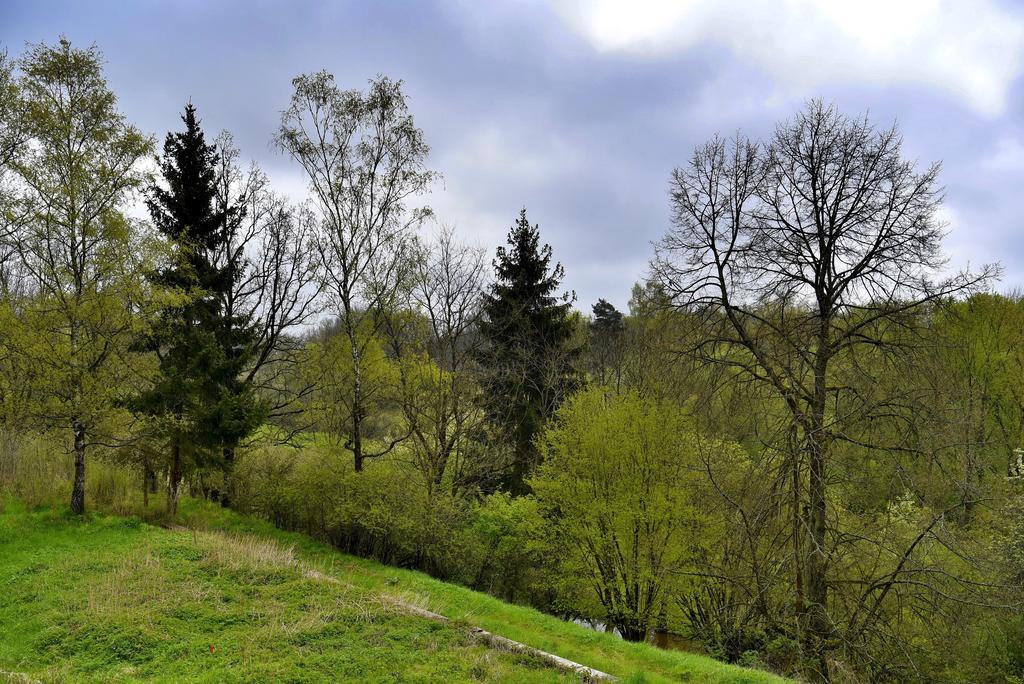 טאבור Holiday Home Turovec מראה חיצוני תמונה